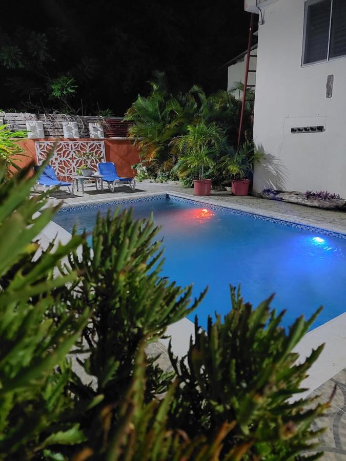 Complejo Villa Las Palmeras Piscina, Billar, Jardin, Bbq @Drvacationsrental Samana 외부 사진
