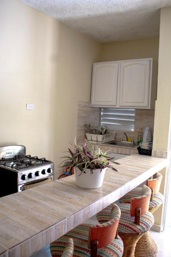 Complejo Villa Las Palmeras Piscina, Billar, Jardin, Bbq @Drvacationsrental Samana 외부 사진