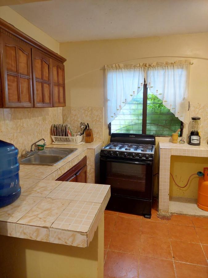 Complejo Villa Las Palmeras Piscina, Billar, Jardin, Bbq @Drvacationsrental Samana 외부 사진